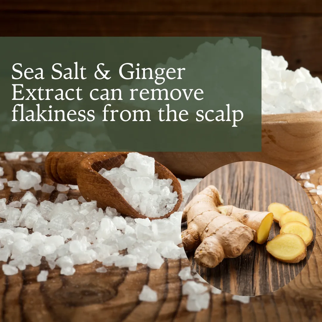 AS - Ginger Shampoo & Hair Mask Combo Pack - Herbishh