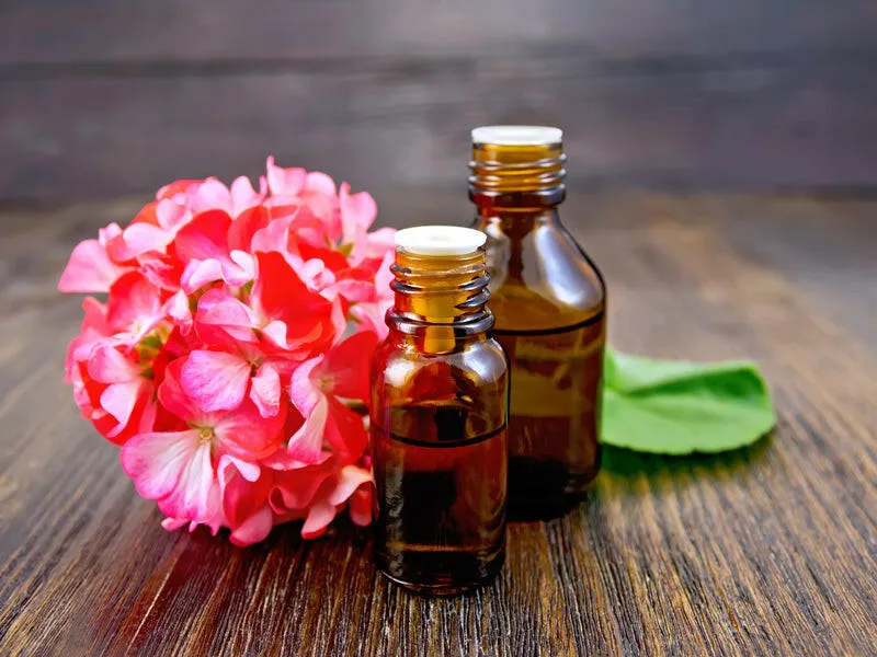 Herbishh Organic Argan Oil - 4pcs