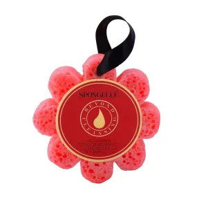 Sugar Dahlia Sponge